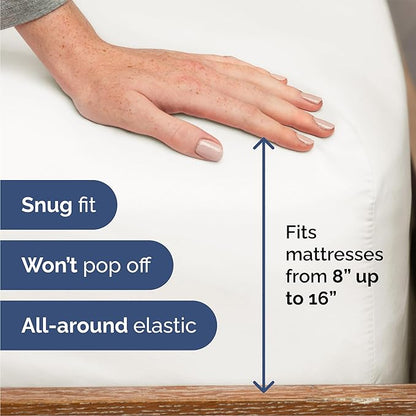 Queen Size 4 Piece Sheet Set - Comfy Breathable & Cooling Bed Sheets Set - Hotel Luxury Bedding for Women, Men, Kids, Teens, Boys & Girls - Deep Pockets, Soft, Wrinkle Free - Oeko-Tex - Antique White