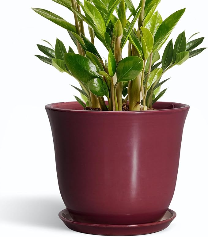Ceramic Plant Pots