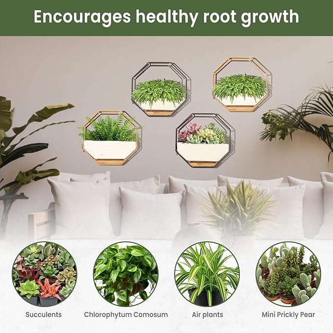 IRYL Wall Planter for Indoor Plants