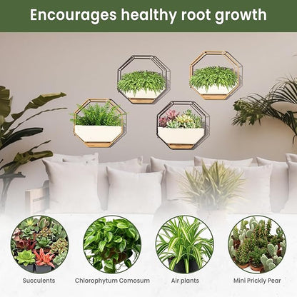 IRYL Wall Planter for Indoor Plants