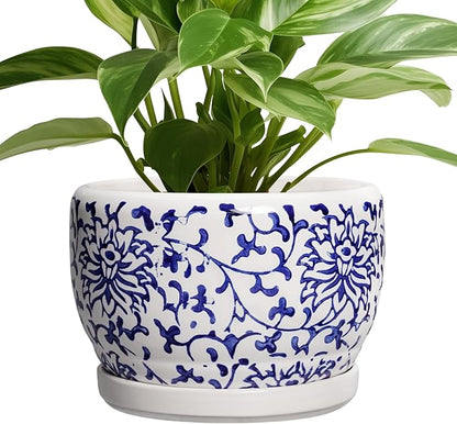 SQOWL Ceramic Pots for Plants