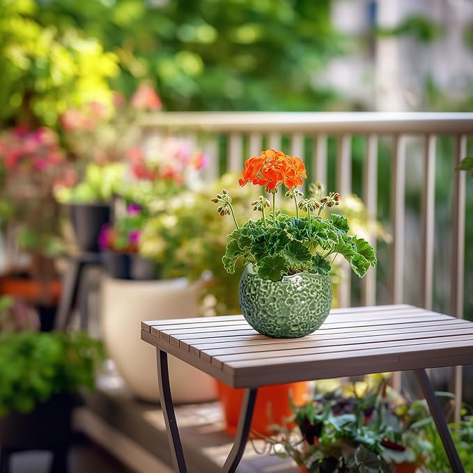 Ceramic Plant Pots
