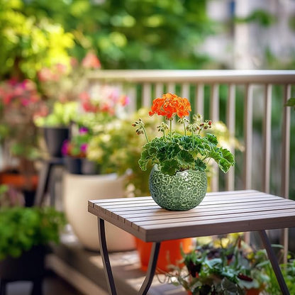 Ceramic Plant Pots