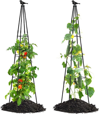 Cucumber Trellis, 2 Pack