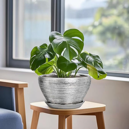Pot for Plants 9 Inch