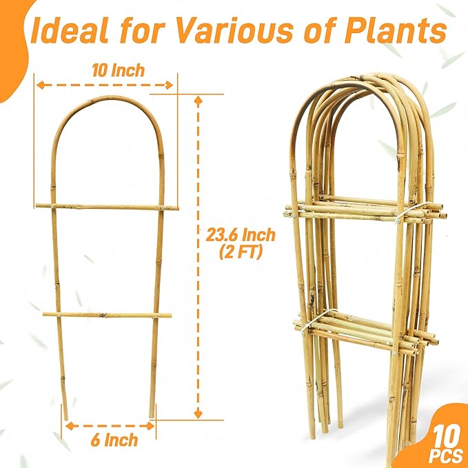 Avalution 10 Pack Bamboo U Trellis