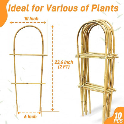 Avalution 10 Pack Bamboo U Trellis