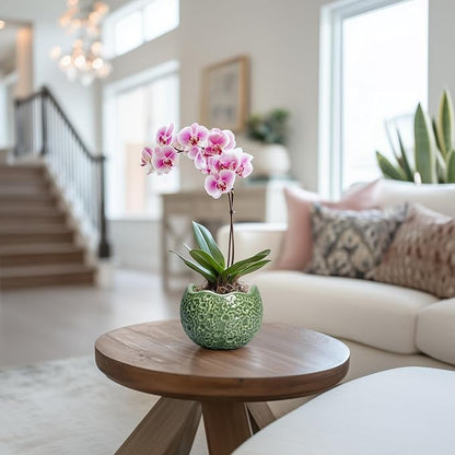 Ceramic Plant Pots