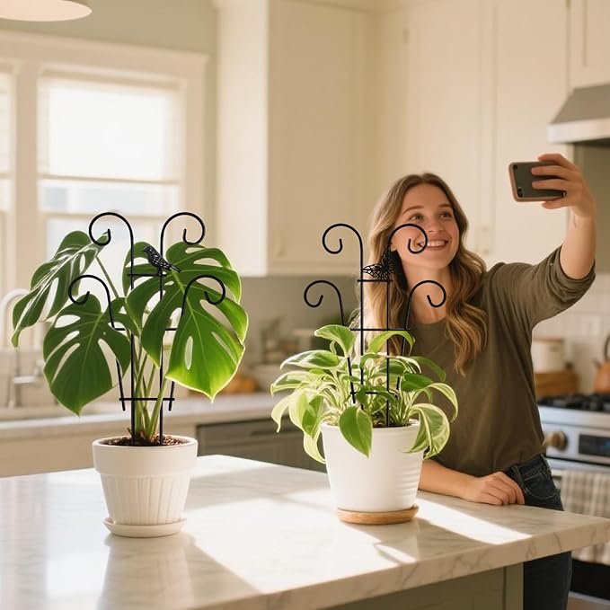 Coomin 14.5 Bird Indoor Plant Trellis