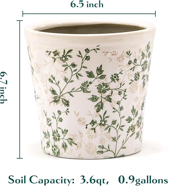 Ceramic Planter with Drainage Hole, Plastic Tray & Mesh, 6.7 Inch