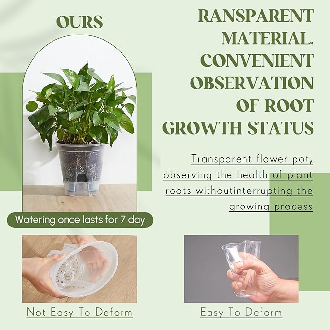 Self Watering Pots for Indoor Plants