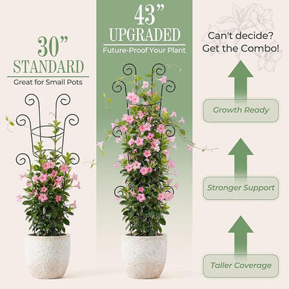 4 Pack 43 Inch Metal Plant Trellis