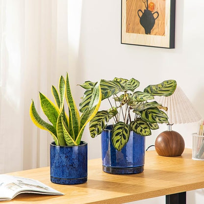 vancasso Ceramic Plant Pots, 3 Piece Planters