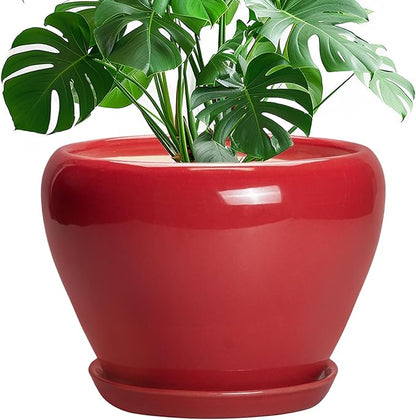 10 Inch Plant Pot
