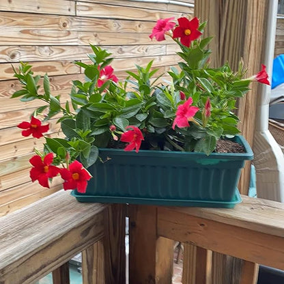 JOIKIT 6 Packs 17 x 7.5 x 5.5 Inch Plastic Window Planter Boxes