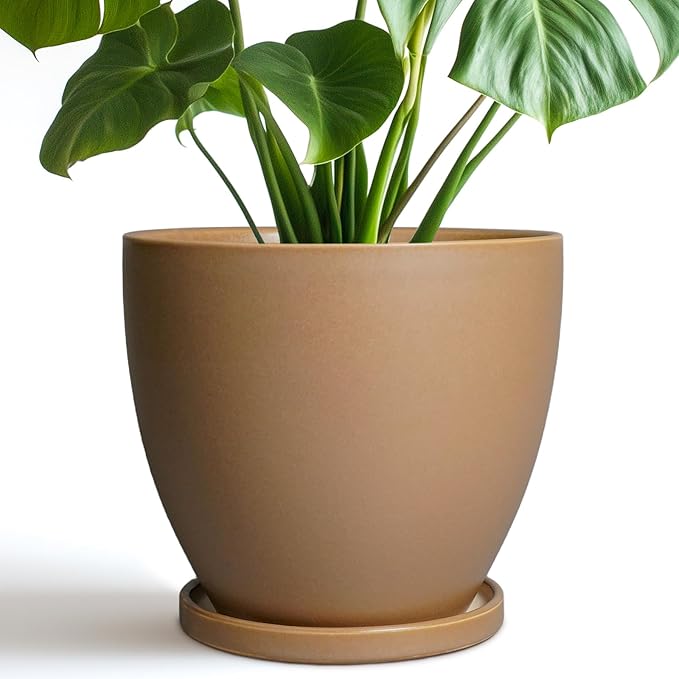 Ceramic Pots for Plants