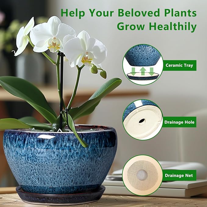 Ceramic Pots for Plants