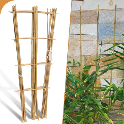 10 Pack 3ft Bamboo Trellis for Climbing Plants