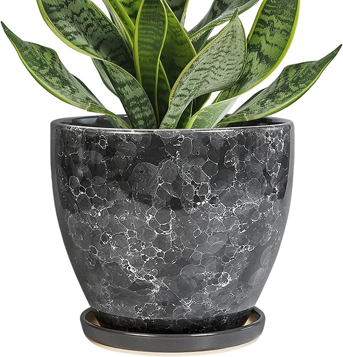 6.3 Inch Plant Pot