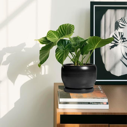 SQOWL Ceramic Plant Pot