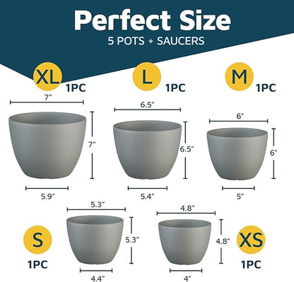 Planter Pots with Drainage Holes