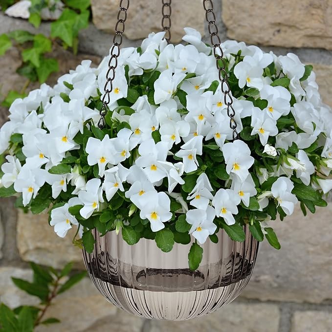 Meanplan 4 Pcs Self Watering Hanging Planter Indoor 6.5 Inch Hanging Baskets