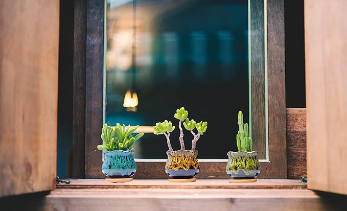 Cute Ceramic Succulent Garden Pots, Planter
