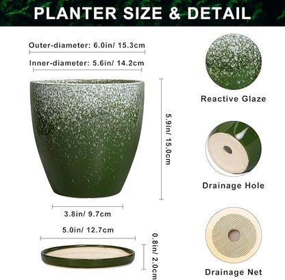6 Inch Plant Pot