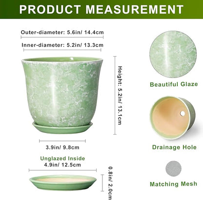 Ceramic Plant Pots
