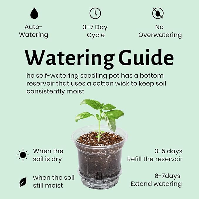 12 Pack 6.5 Inch Clear Self Watering Plant Pots