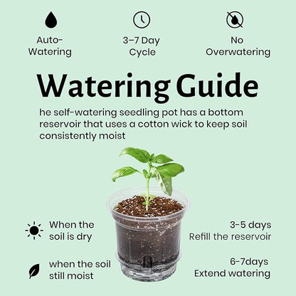 12 Pack 6.5 Inch Clear Self Watering Plant Pots