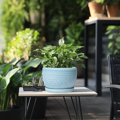 SQOWL Ceramic Planter