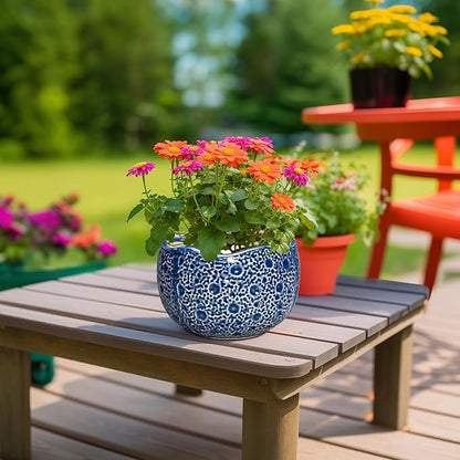 Ceramic Pots for Plants
