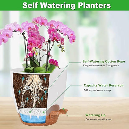 6 Inch Orchid Pots with Holes, 2 Pack Self Watering Planters
