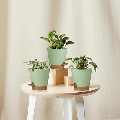 5 Pack 5 inch Self-Watering Pots, African Violets Planter