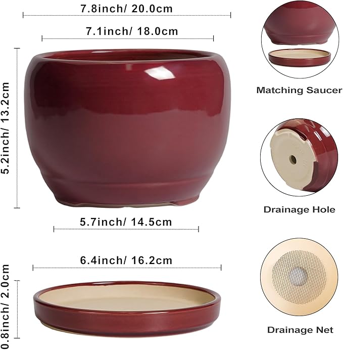 SQOWL Ceramic Planter