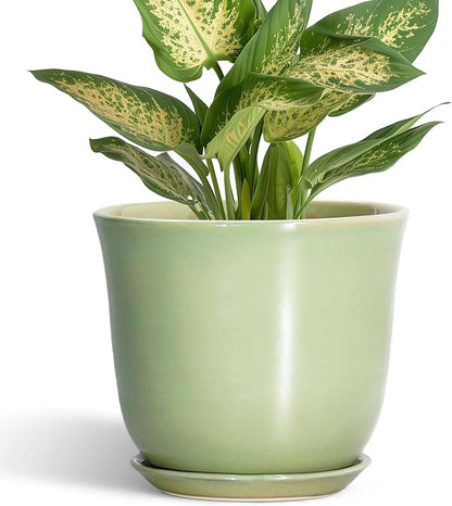 5.6 Inch Plant Pot