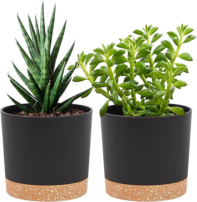 QCQHDU 5 inch Plant Pot, 2 Pack Planters