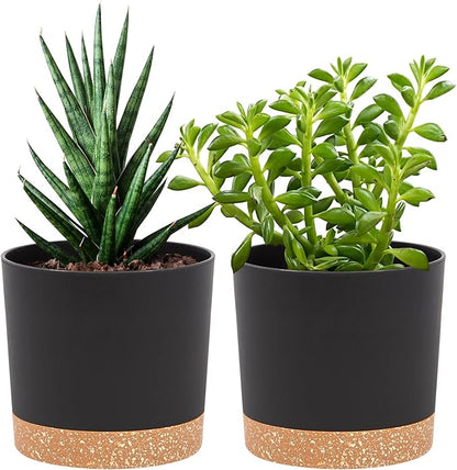 QCQHDU 5 inch Plant Pot, 2 Pack Planters