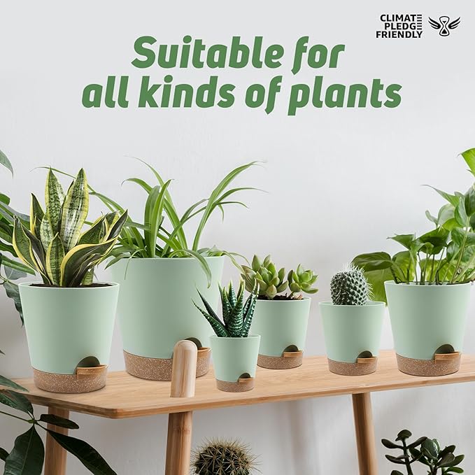 Indoor Self Watering Planters
