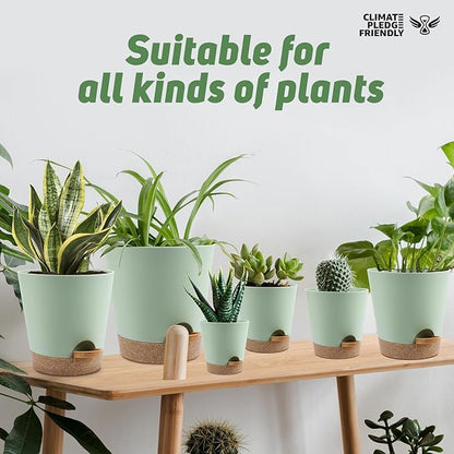 Indoor Self Watering Planters