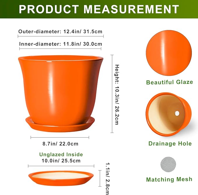 12 Inch Pots for Plants