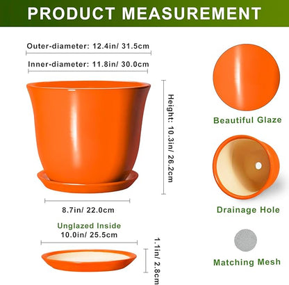 12 Inch Pots for Plants