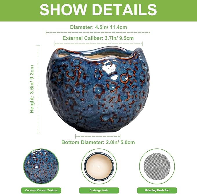 Ceramic Pots for Plants