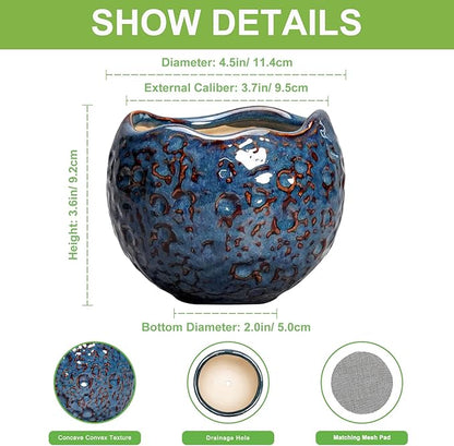 Ceramic Pots for Plants