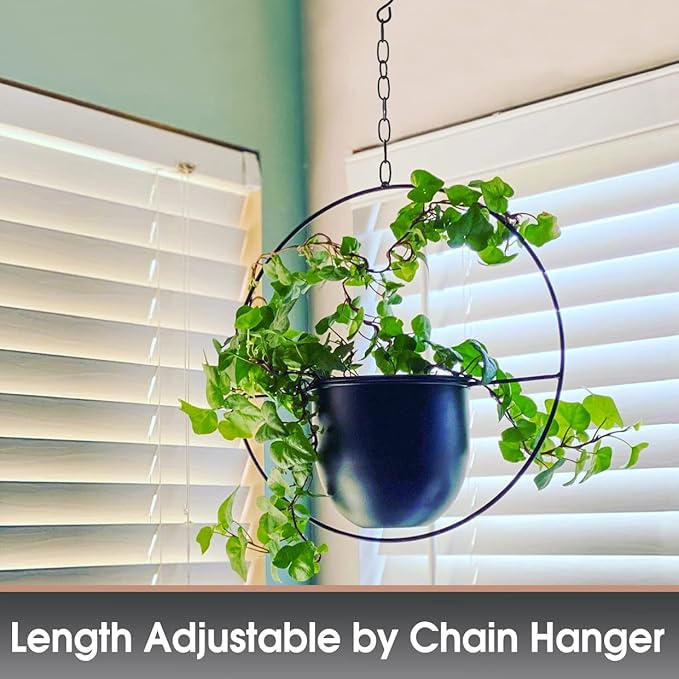2 Pack Hanging Planters for Indoor Plants
