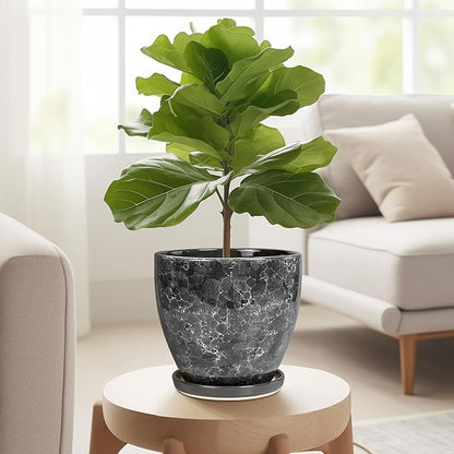 6.3 Inch Plant Pot
