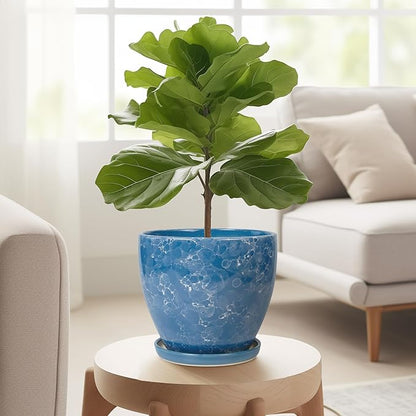 Ceramic Pots for Plants