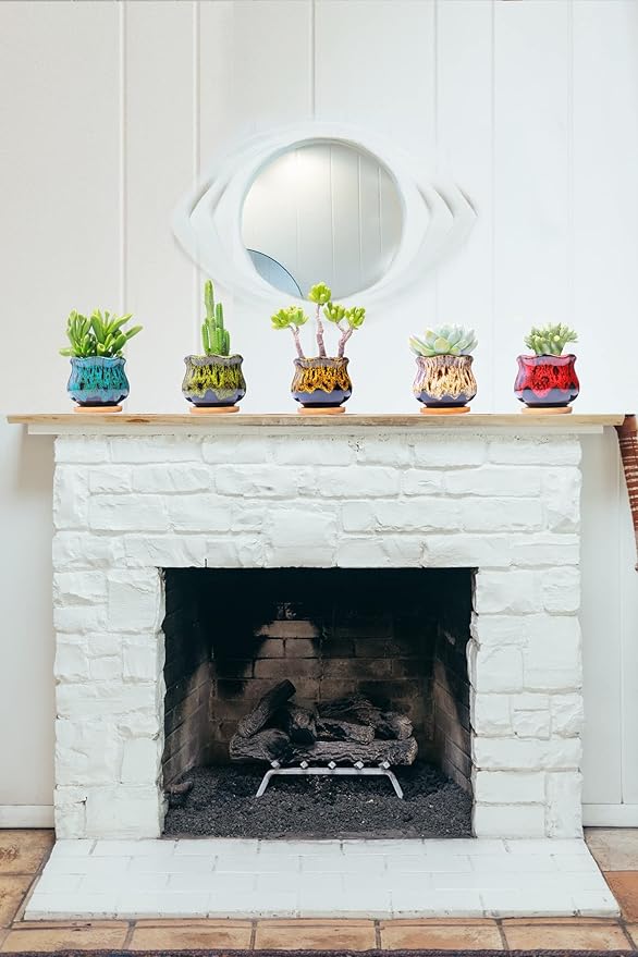 Cute Ceramic Succulent Garden Pots, Planter