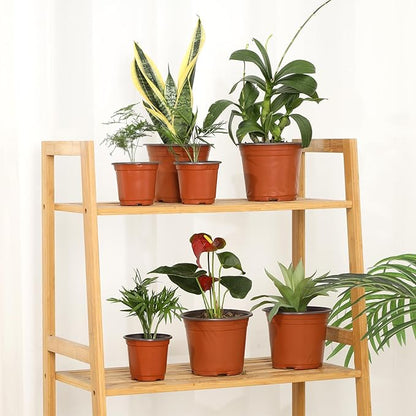 200 Pack 6 Inch Plastic Nursery Pots